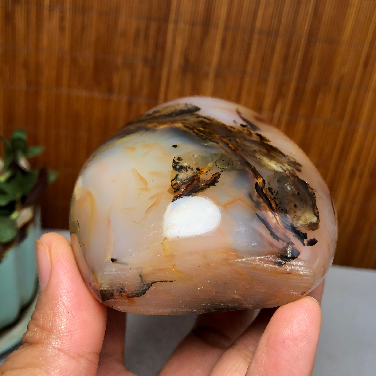 Natural aquatic plants agate pretty Crystal specimens free standing 331g A9998