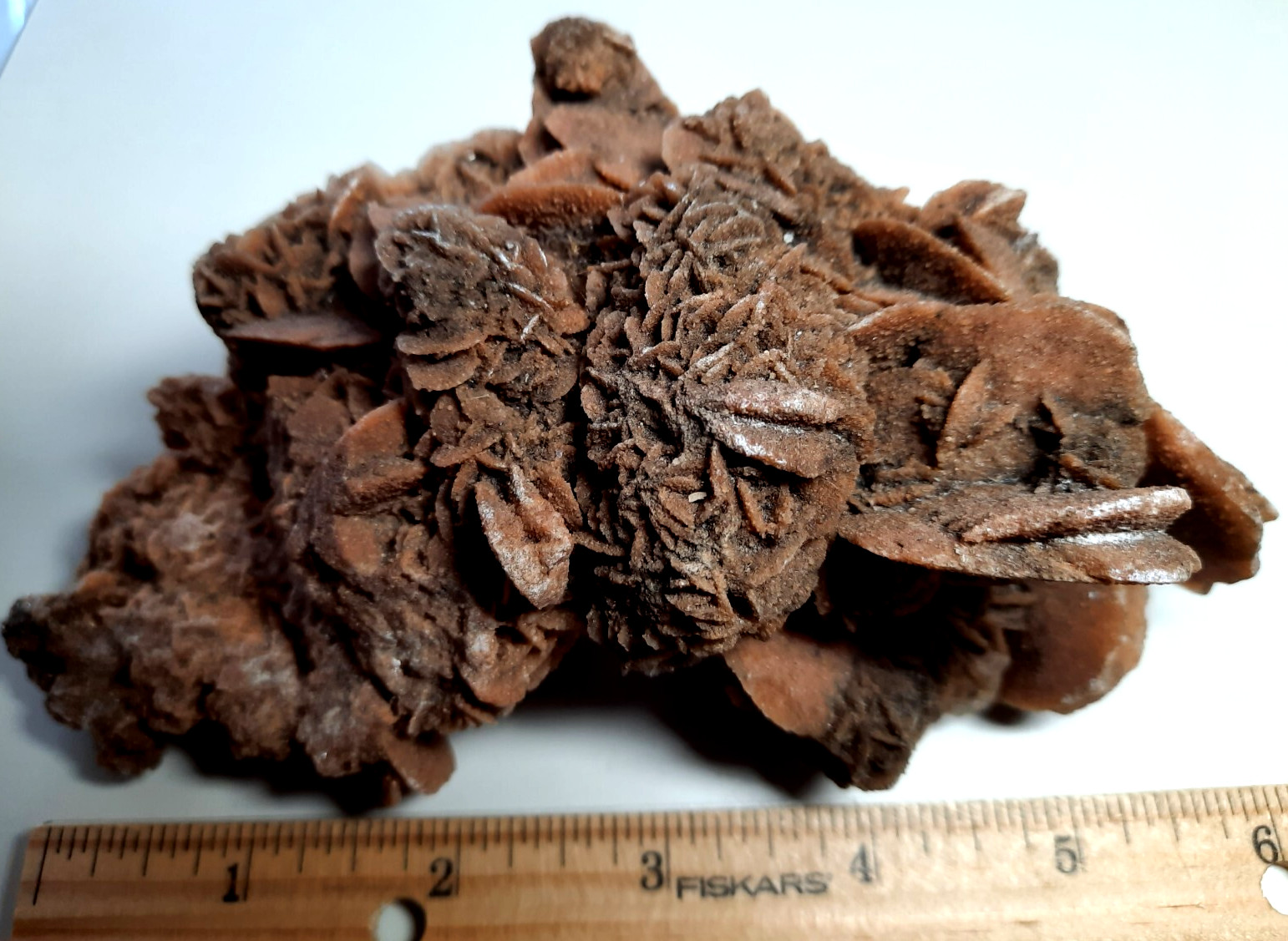 LARGE DESERT ROSE GYPSUM 6 1/4 x 3 1/2 x 2 1/4 Rock Mineral Crystal Stone