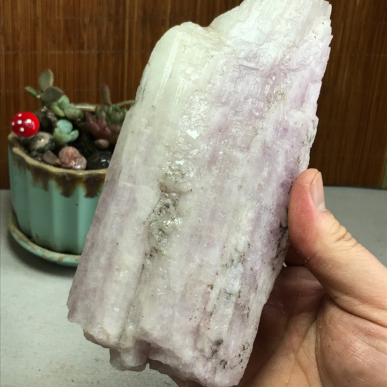 170-78-40mm NATURAL ROUGH KUNZITE PINK SPODUMENE CRYSTALS 830g A4613