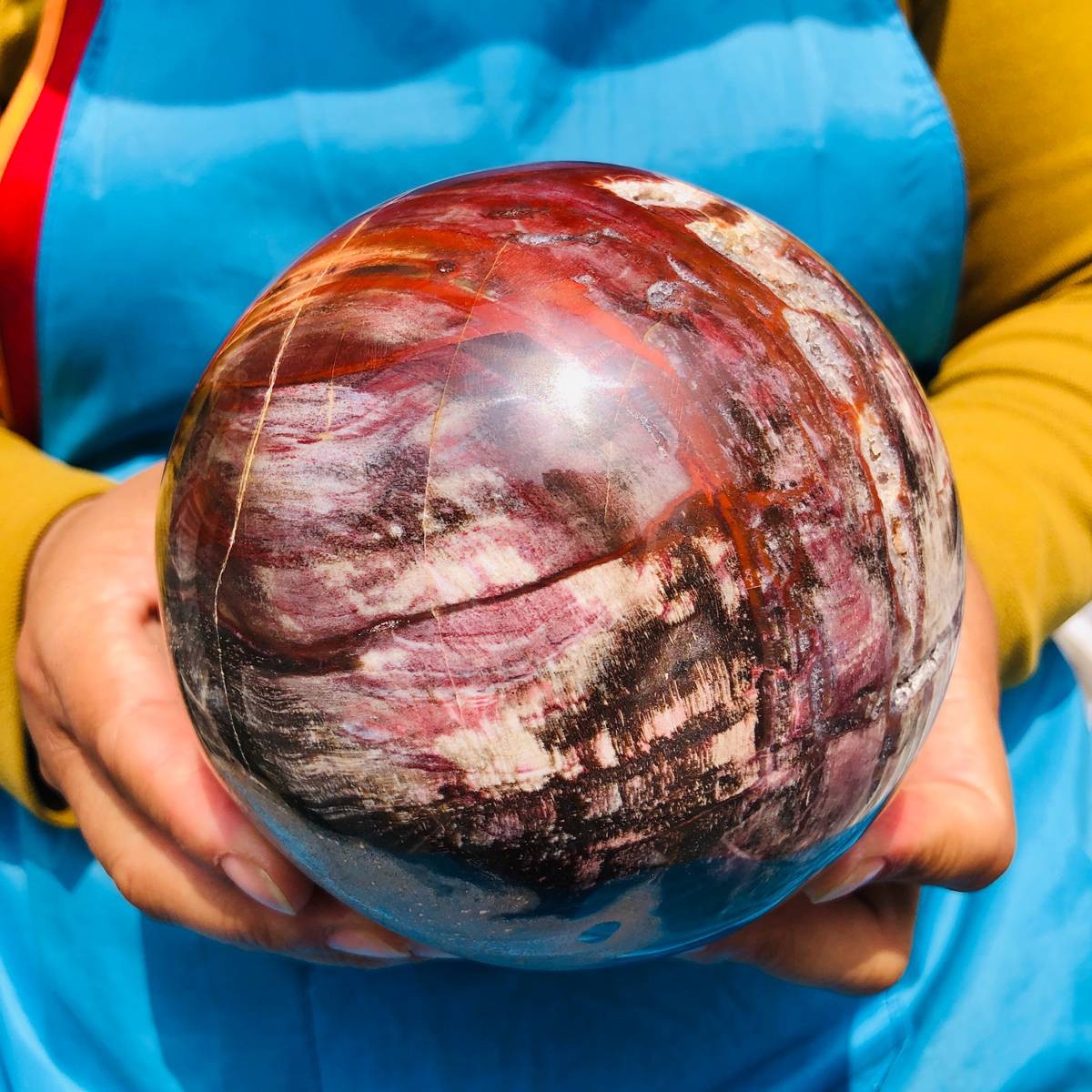 5.06LB Rare Natural Petrified Wood Ball Crystal Quartz Mineral Healing 4705