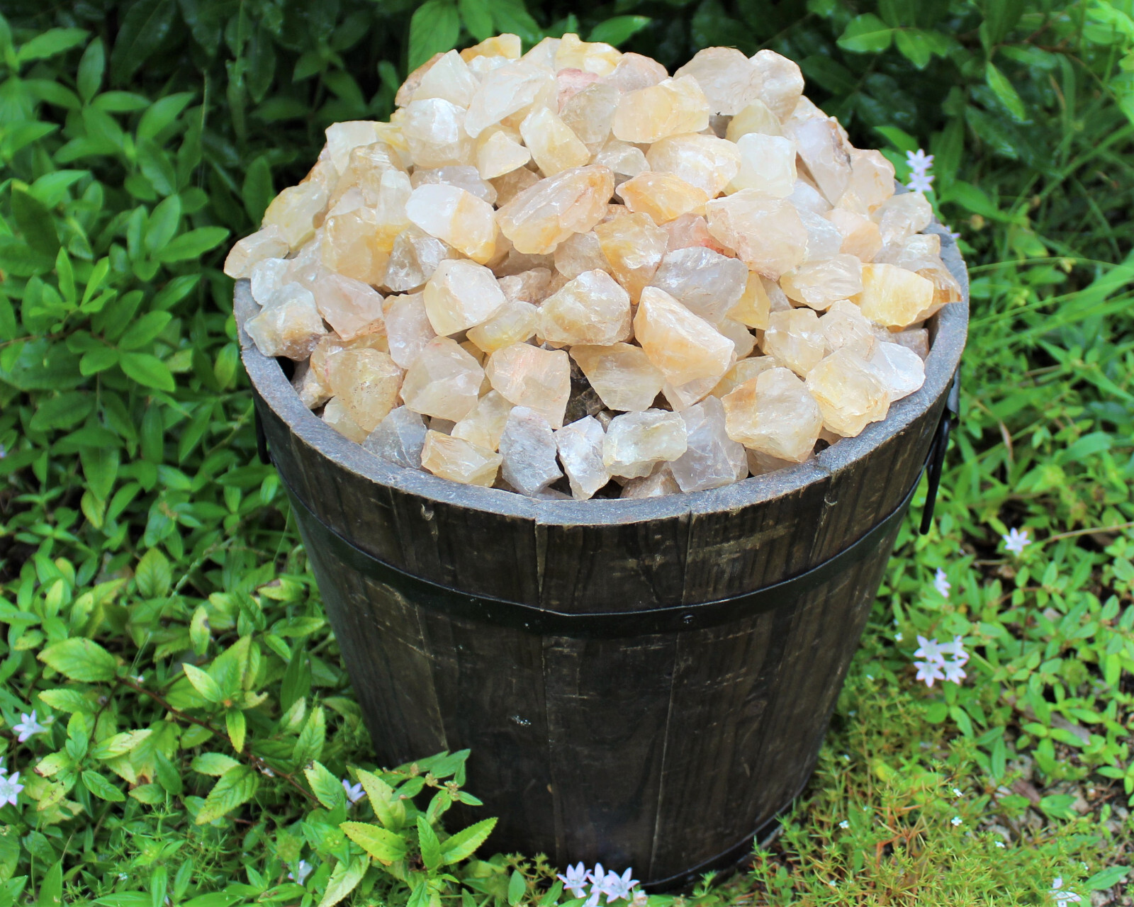 Golden Healer Quartz Rough Natural Crystals Wholesale Lots (Raw Golden Quartz)