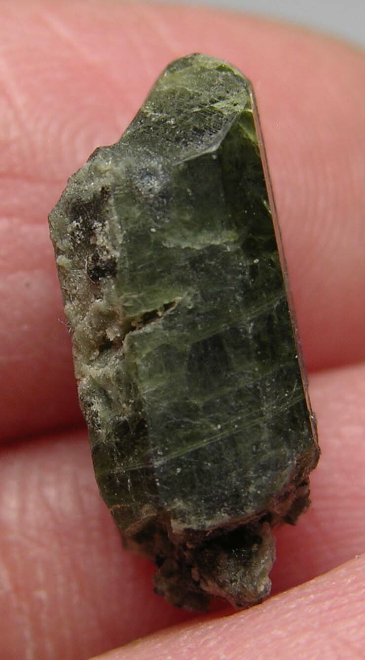 #2 Quebec Canada 7.50ct Natural Raw Diopside Crystal Specimen 1.50g 16.00mm