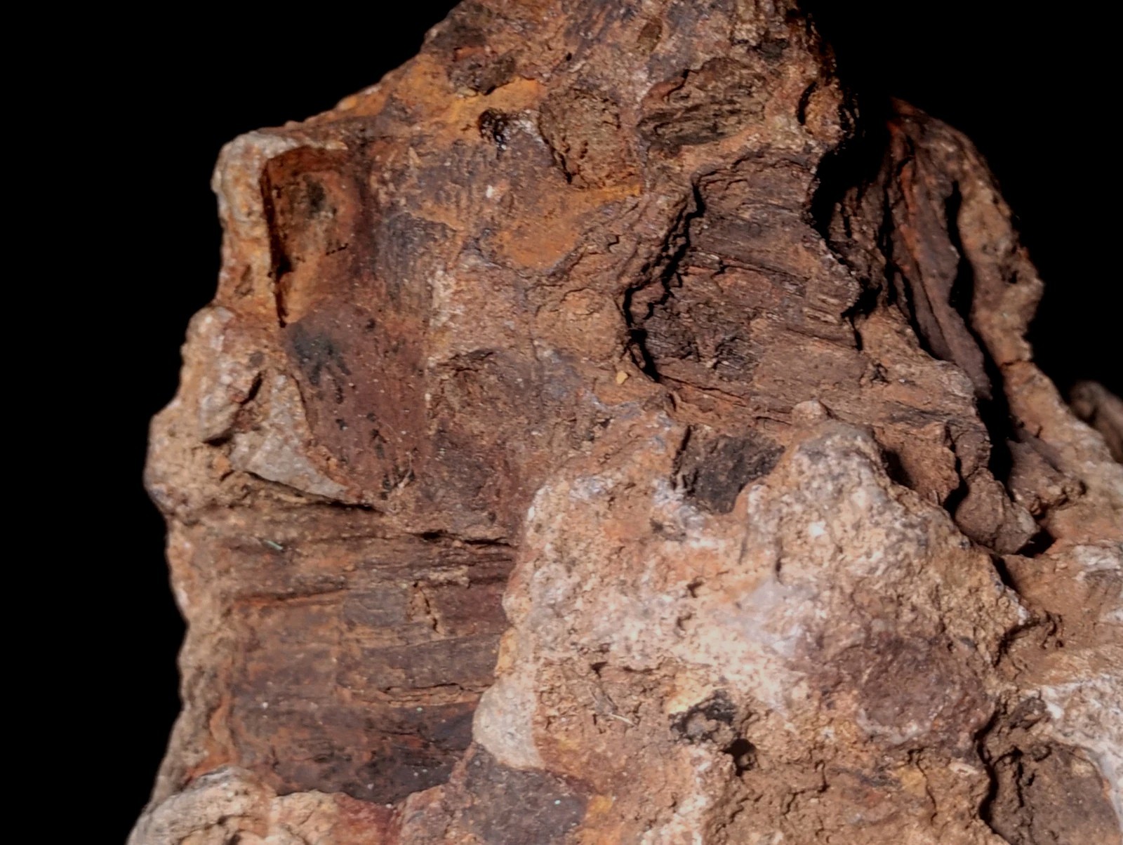 8″ Rare Missouri Iron-Aged Fossil Wood in Smoky Chalcedony – Knob Creek