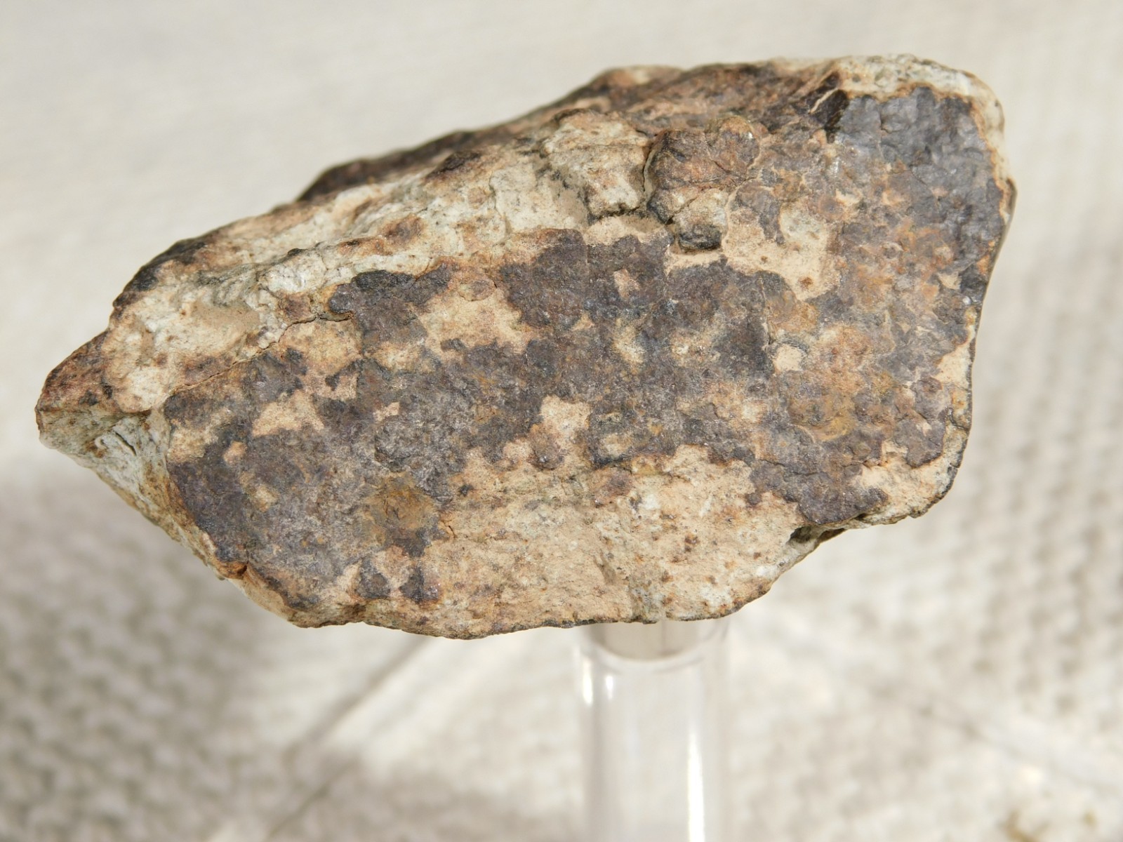 Stony METEORITE with DARK Fusion Crust and Contraction CRACKS 70.2gr