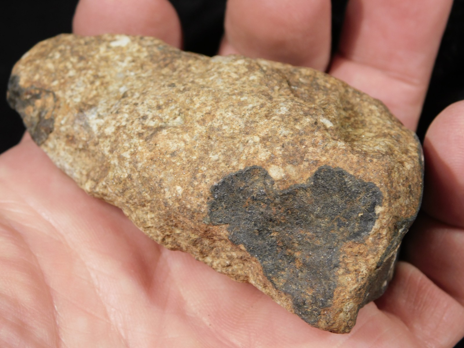 Larger Classified NWA 8245 METEORITE 100% Natural! Erfoud, Morocco 207gr