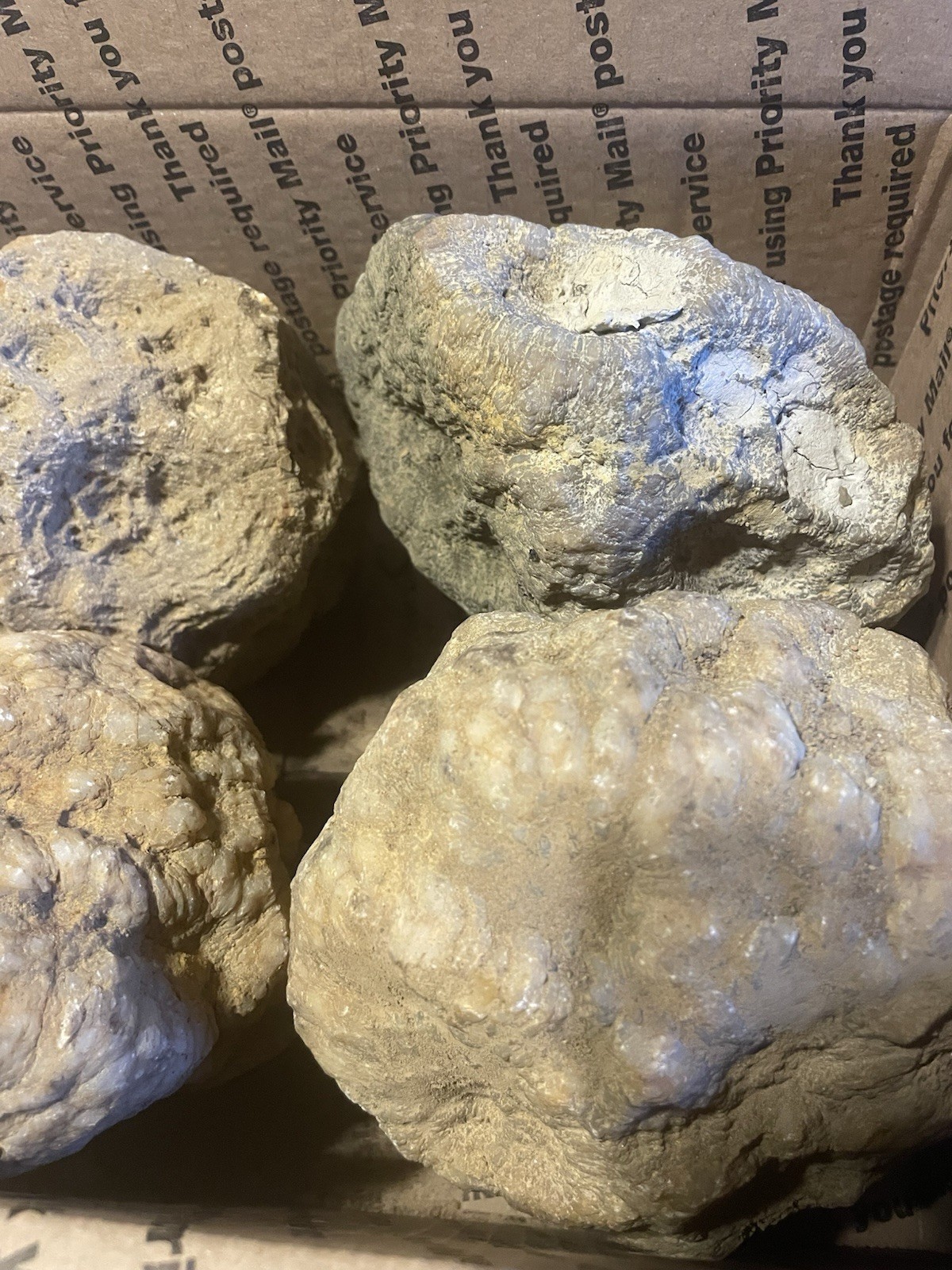 BOX OF KENTUCKY GEODES:4 BIG GEODES ALL RATTLE *4=20 LBS* ALL RATTLE