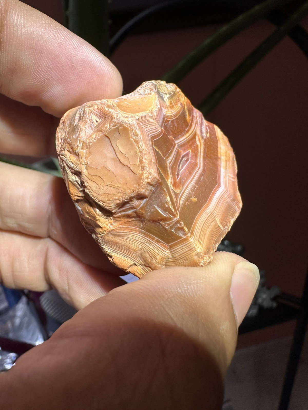 2.15 oz Lake Superior Very High-Quality Agate Fire Peeler Top Shelf Opaque Paint