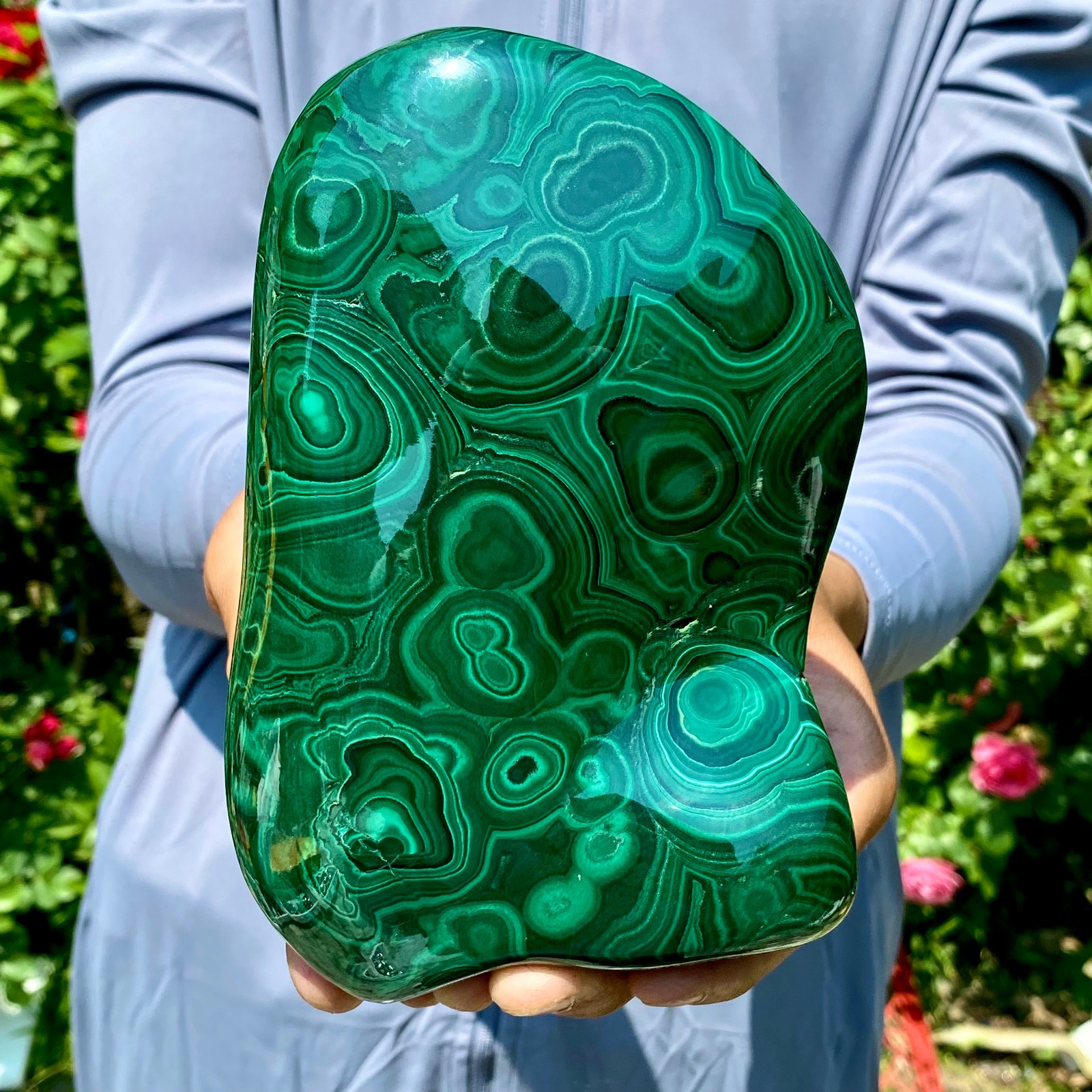 3.9LB Natural glossy Malachite egg transparent cluster rough mineral sample