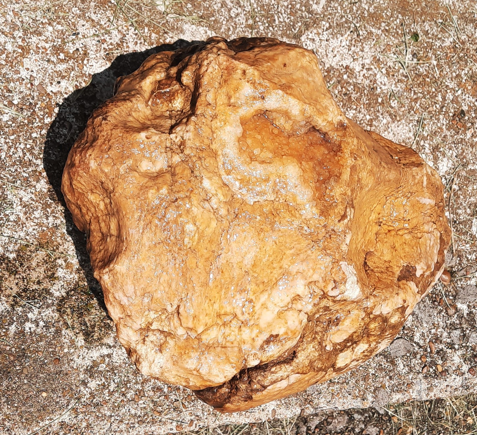 10.2 lbs, Unopened Orange Druzy Crystals Geode. Quartz, Jasper. 9.5″. Kentucky