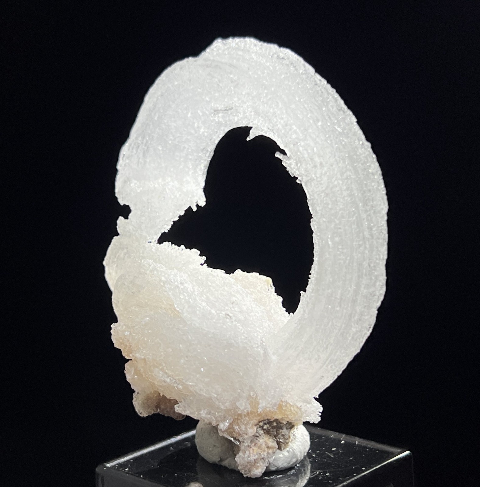 61mm 32g ‘Ram’s Horn’ shape Selenite (Gypsum), Natural Mineral Specimen