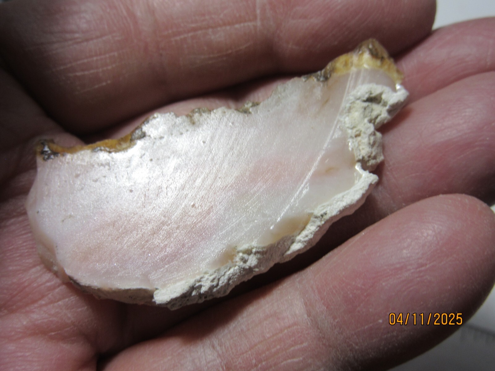Pink Opal Mineral 2 1/8″ Slice Spencer Idaho Collectible POMSTC-3s