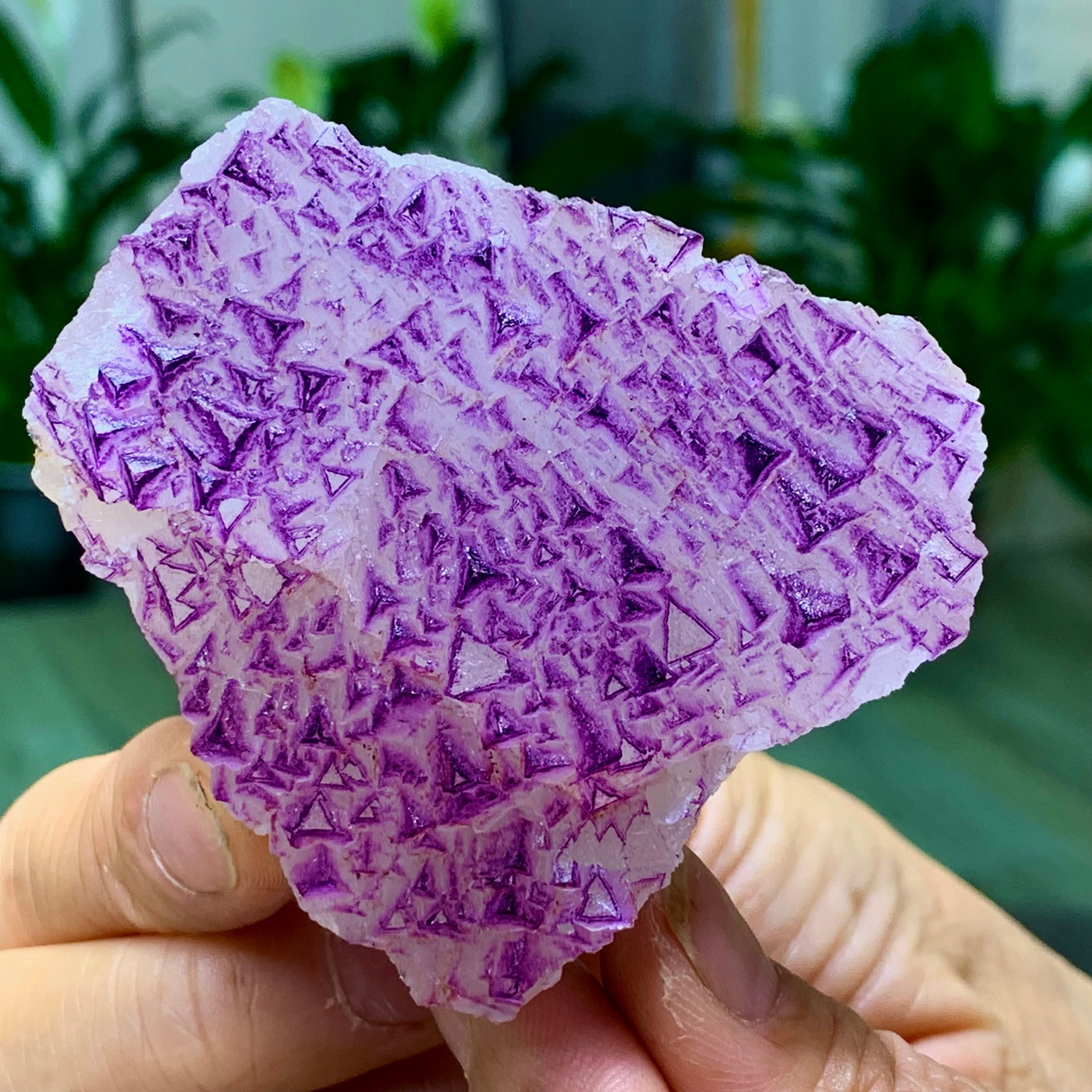 153G Natural fluorite purple edged cubic crystal mineral sample