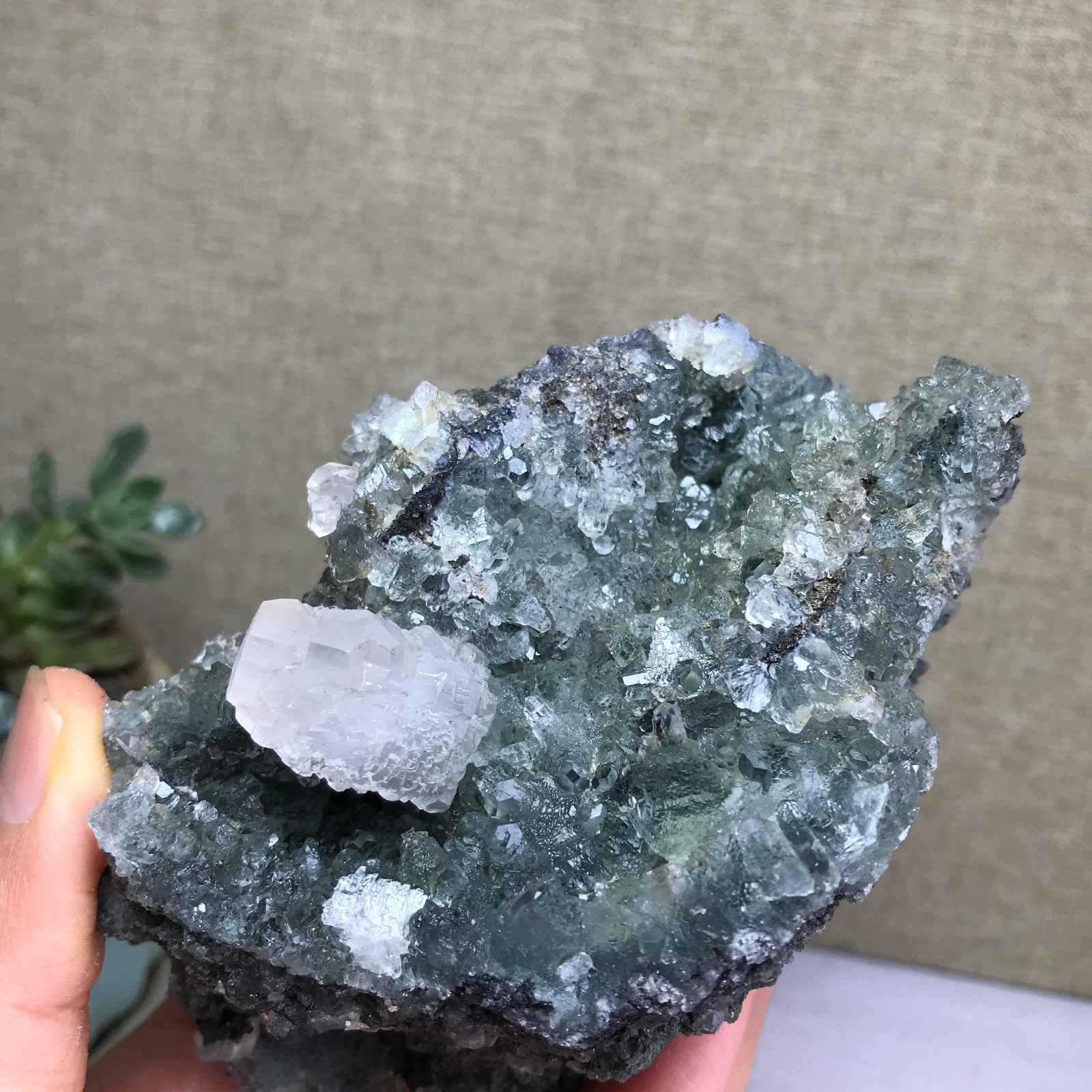 476g NATURAL Green Cubic FLUORITE paragenesis Crystal Cluster Specimen A4780