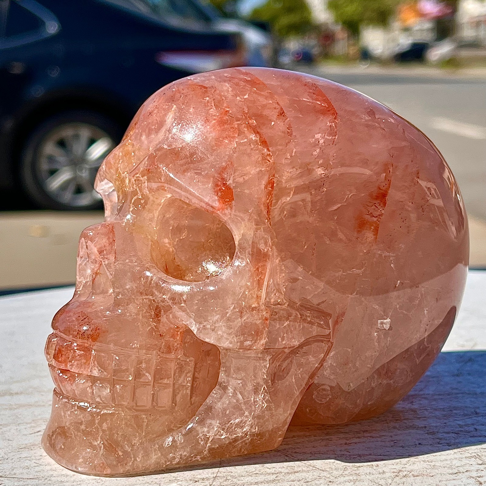 2.53LB Natural dreamy red gum flower skull hand carved skull healing
