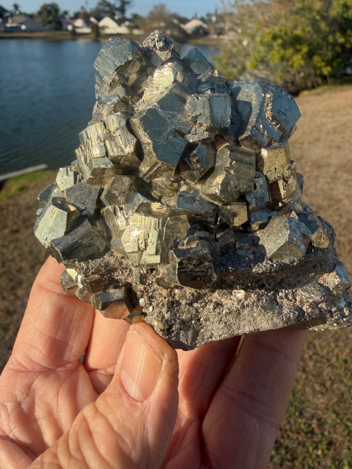 PYRITE Crystal CUBE Cluster Huanzala Mine Peru 665gr 4″+ wide