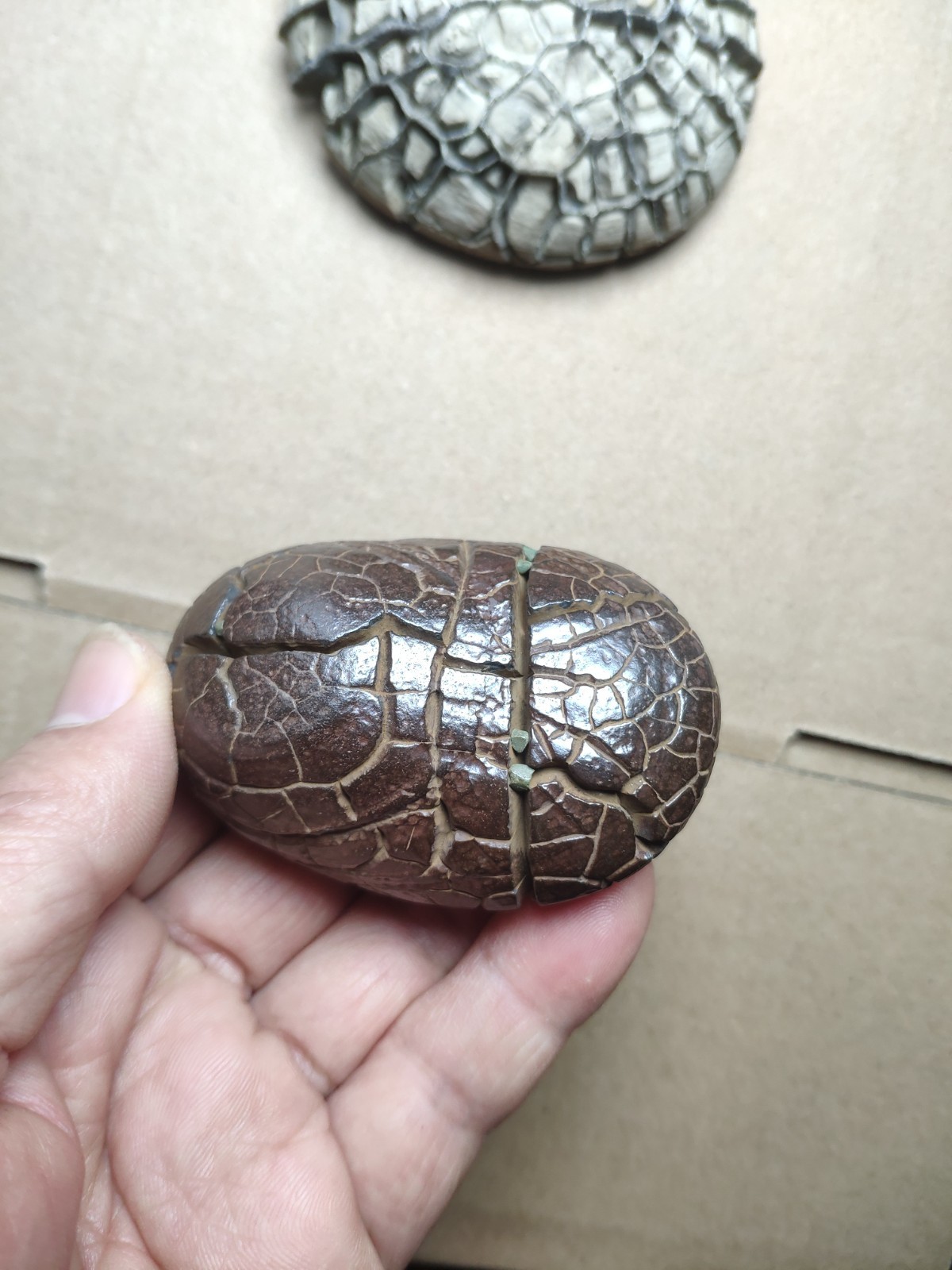 182g beautiful tortoise back pattern stone Turtle grain stone Landscape stone