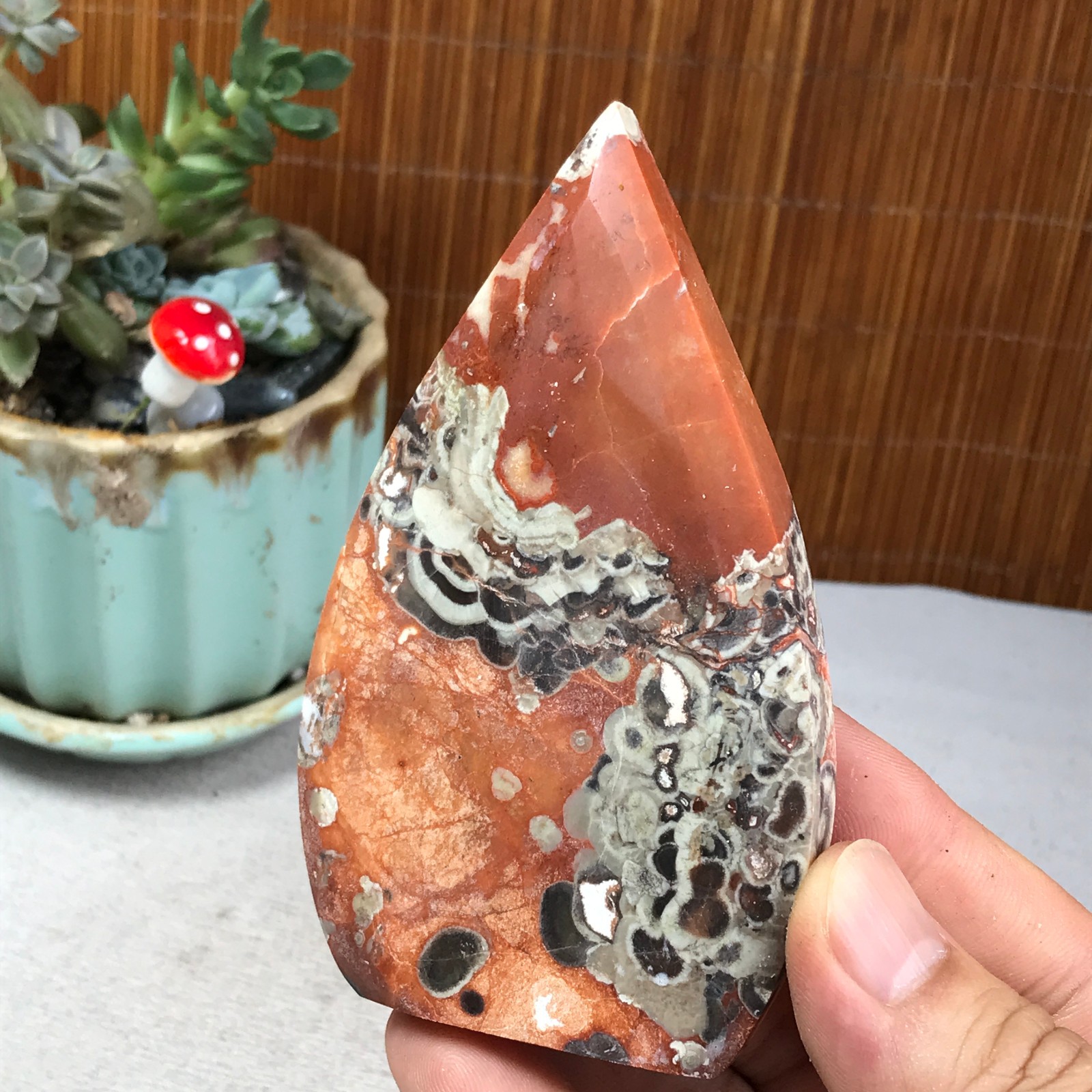 Natural money Mexico agate hand carve leaf Crystal Specimen free standing A6261