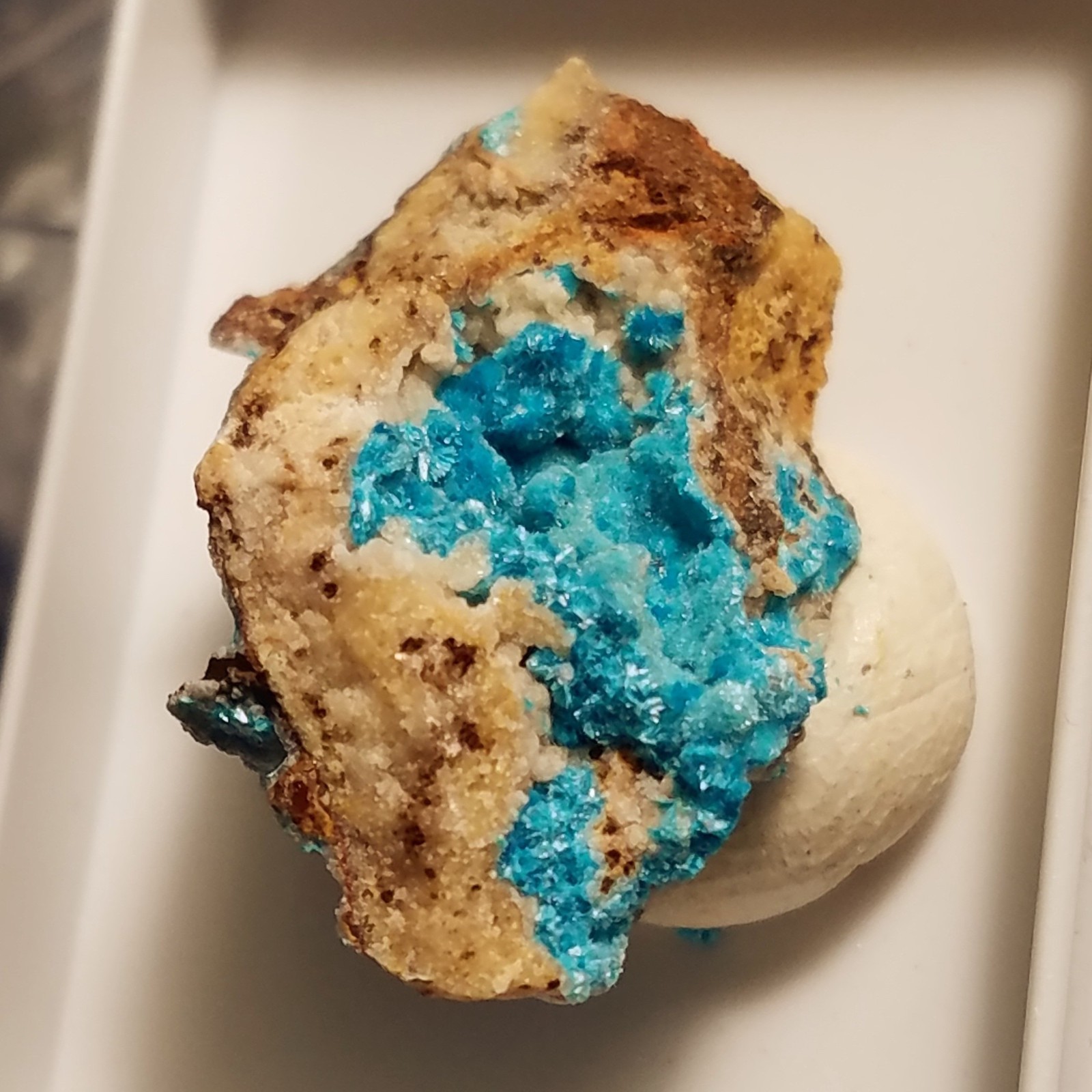 SiG: Blue-Green Greenish-Blue Serpierite Crystals Clusters on Matrix from Greece