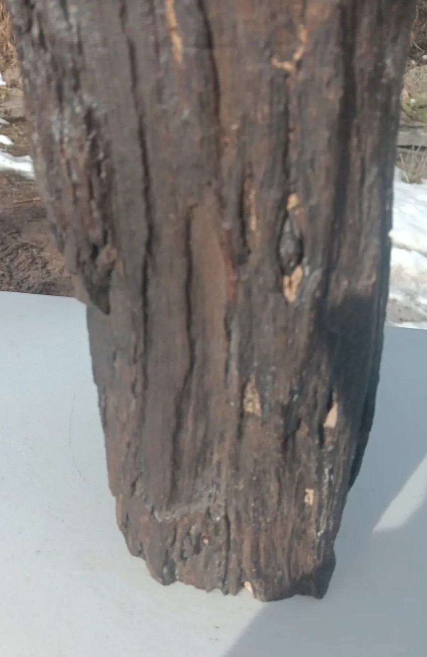 Petrified Iron Wood Fossil Tower Twistes Knots Holes Rings 10 3/4lb Display Rare