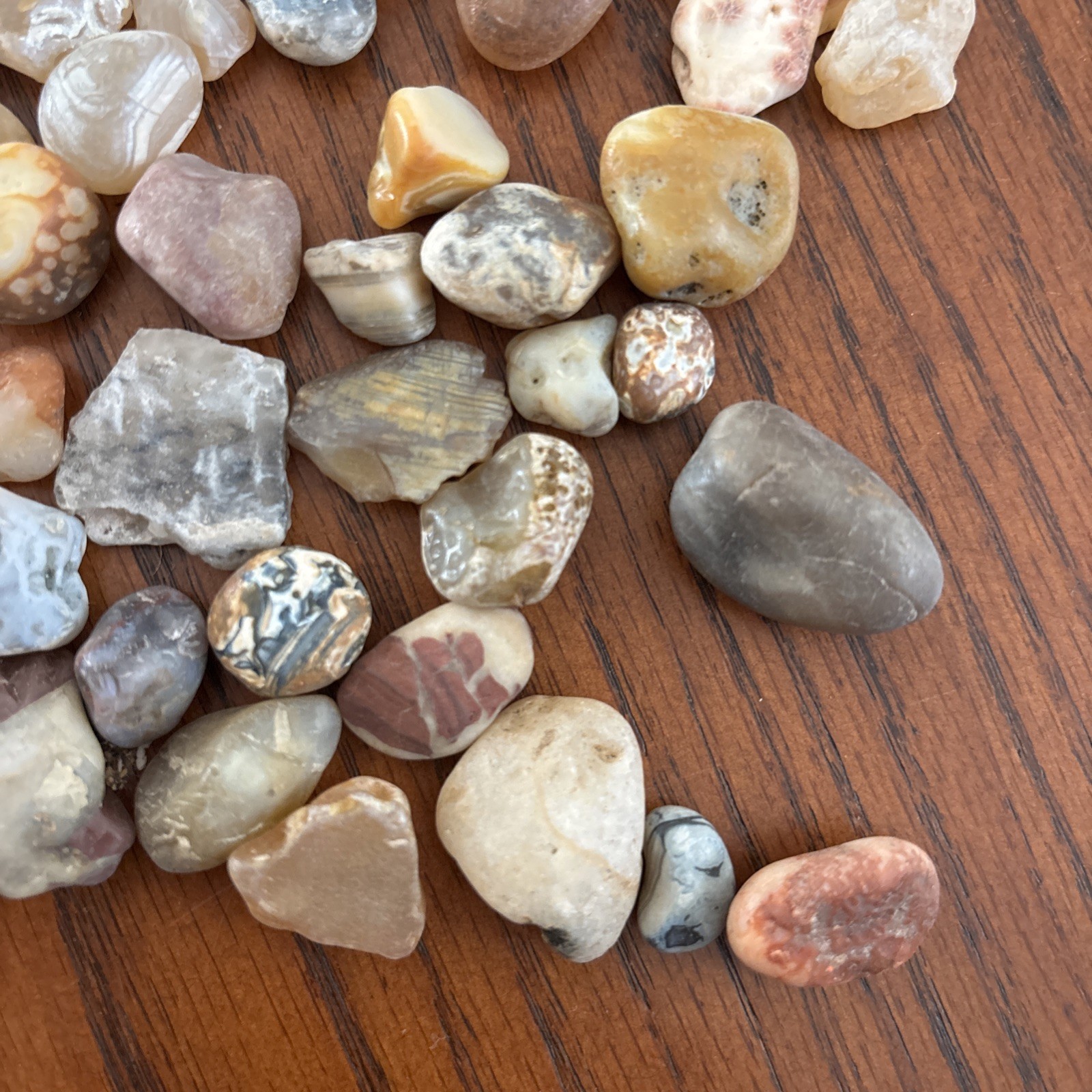 Lot of 1 pound Prair Agates Wyoming- South Dakota Banding Not Polished