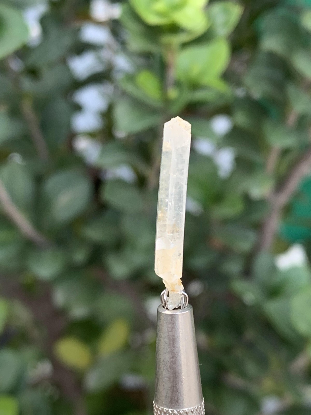 7 Grams Faden Quartz Crystal. size: 2.5*1.5*0.2 cm