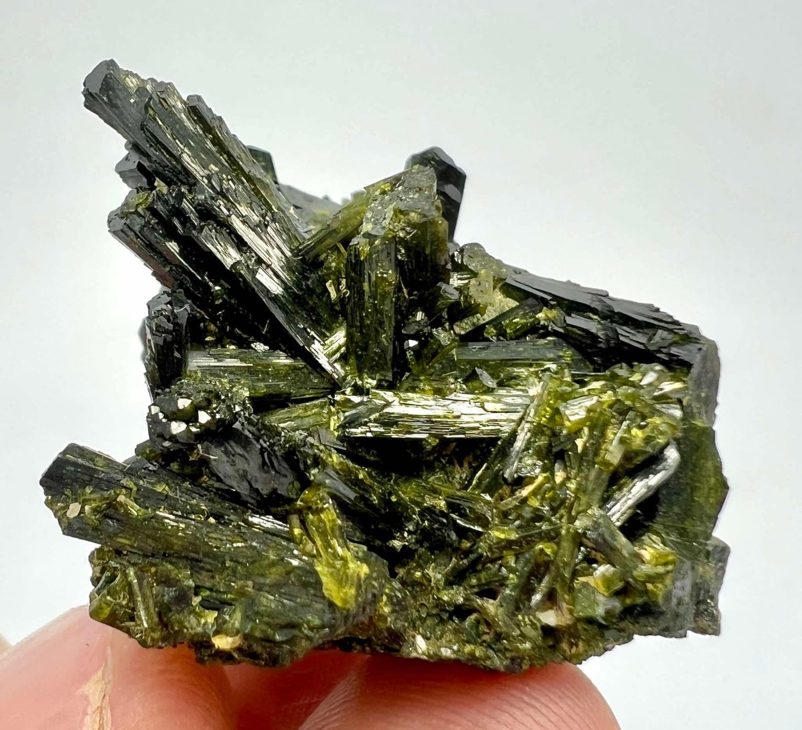 123 CT Amazing! Epidote Crystals Bunch Specimen From Skardu Pakistan s42