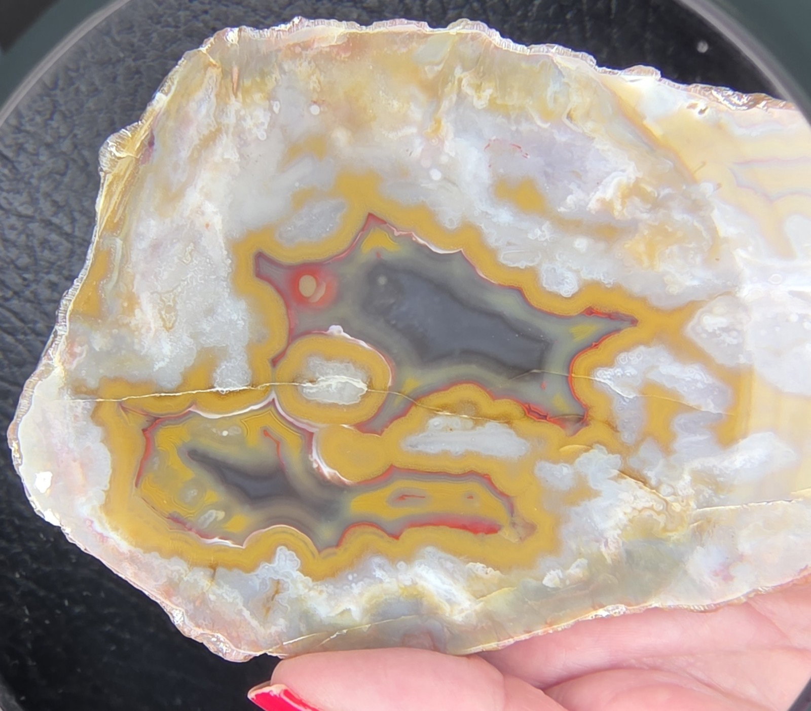Beautiful Kentucky Agate Slab-Black, red, yellow with polished face #S-70