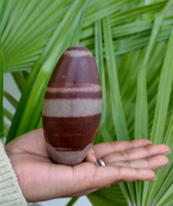 Shiva Lingam Polished Stone | Narmarda River Stone -1126