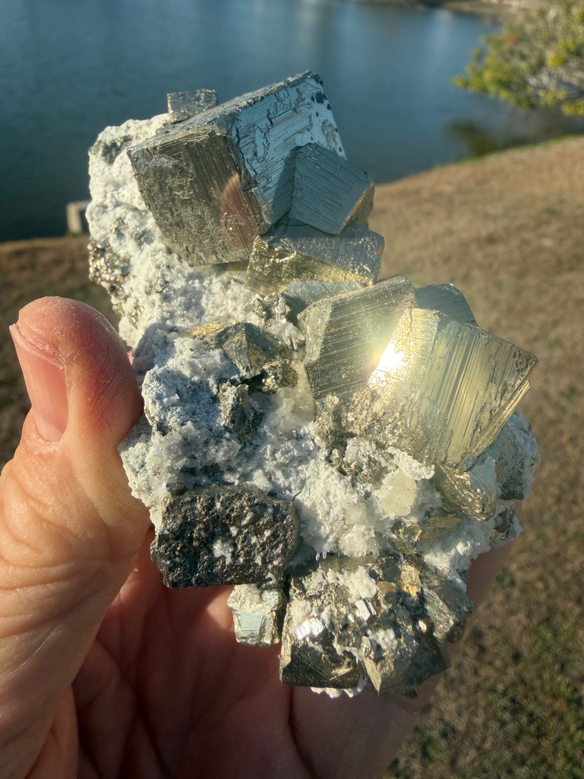AAA PYRITE Crystal CUBE Cluster Huanzala Mine Peru 346gr 4″+ wide