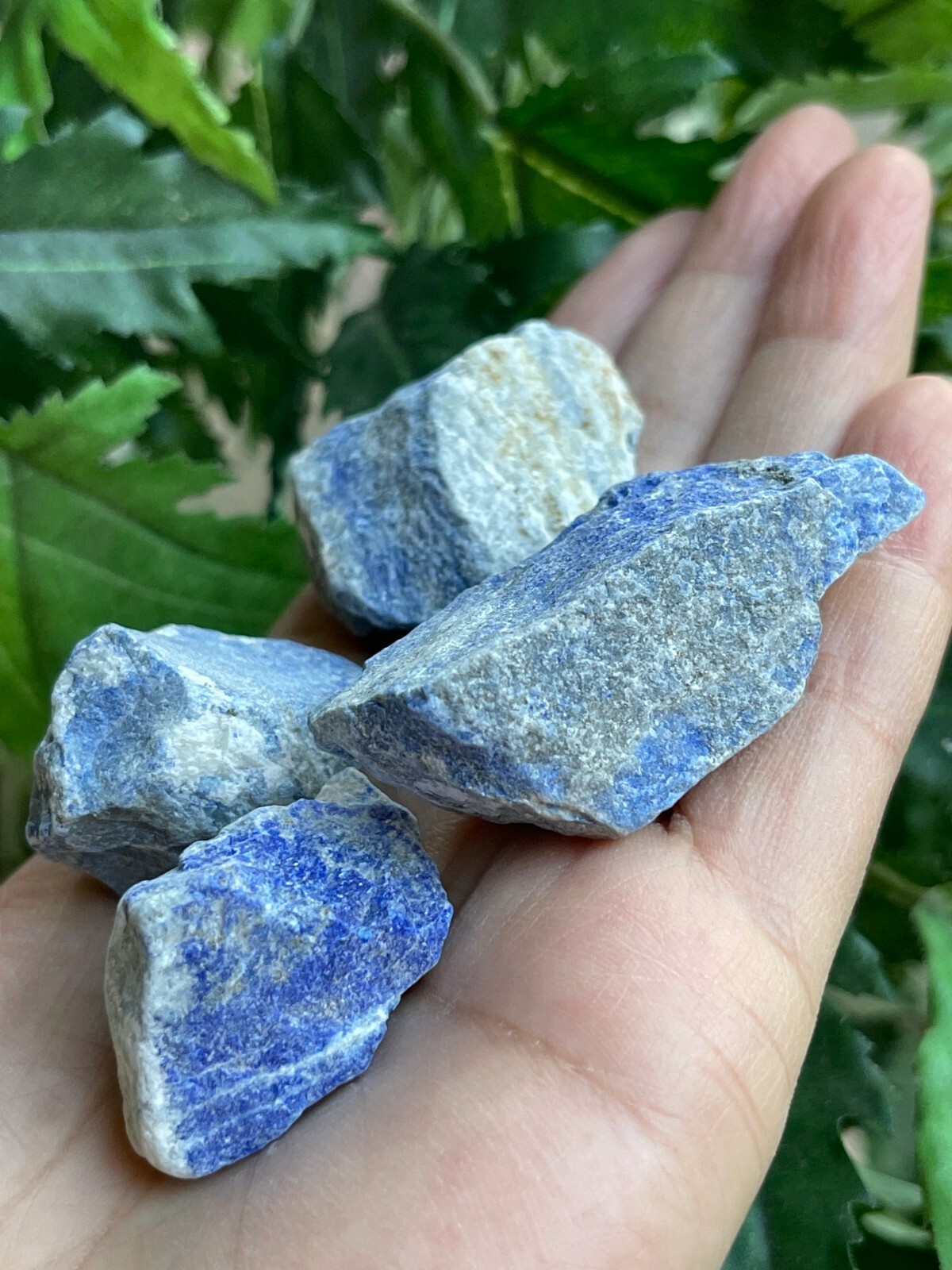 Grade A+ Large Lapis Lazuli Raw Stone 1-2 Inches, Wholesale Bulk Lot