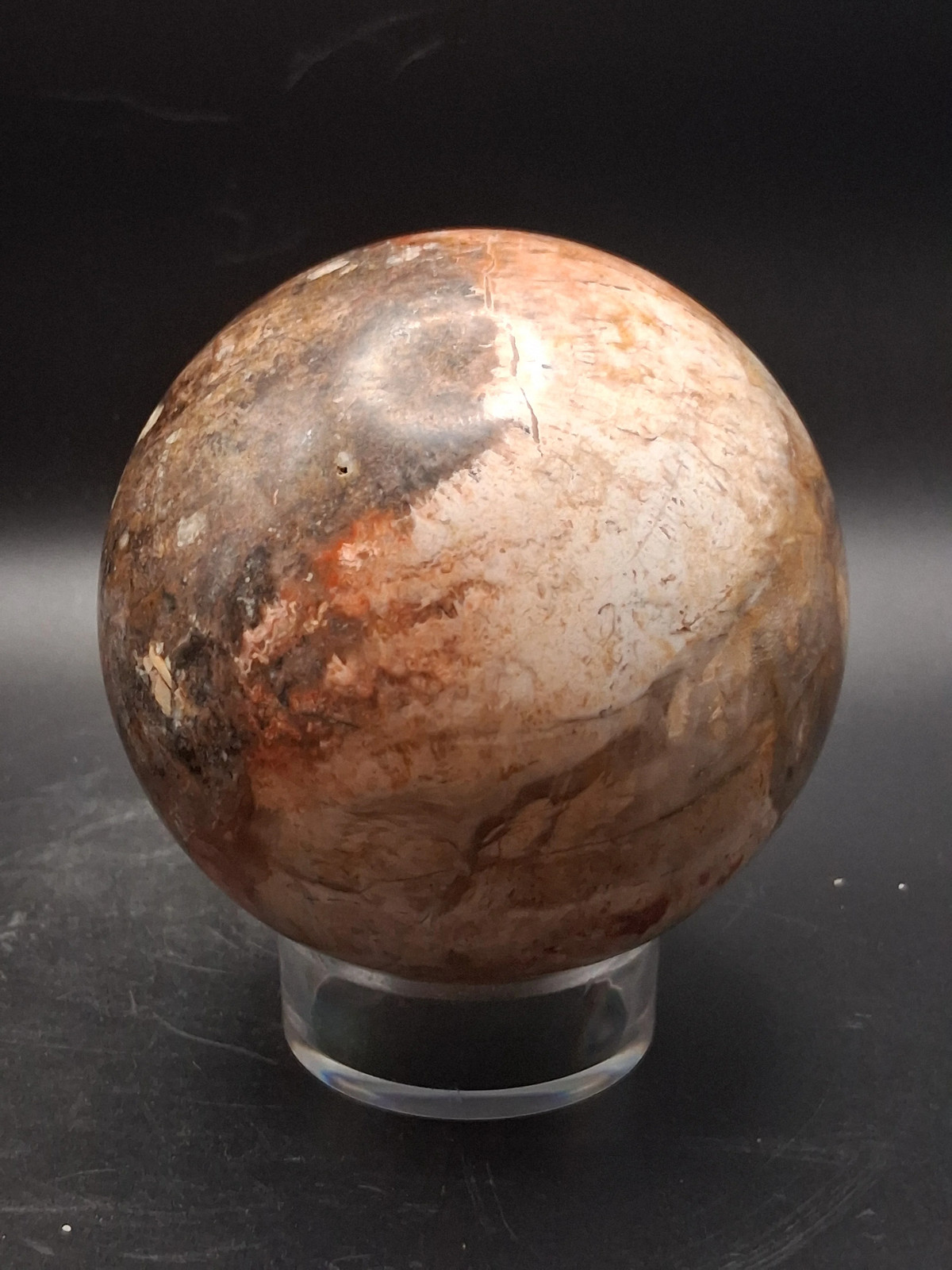 Large petrified wood sphere! 81mm, 3.1 inches, 1.8 pounds