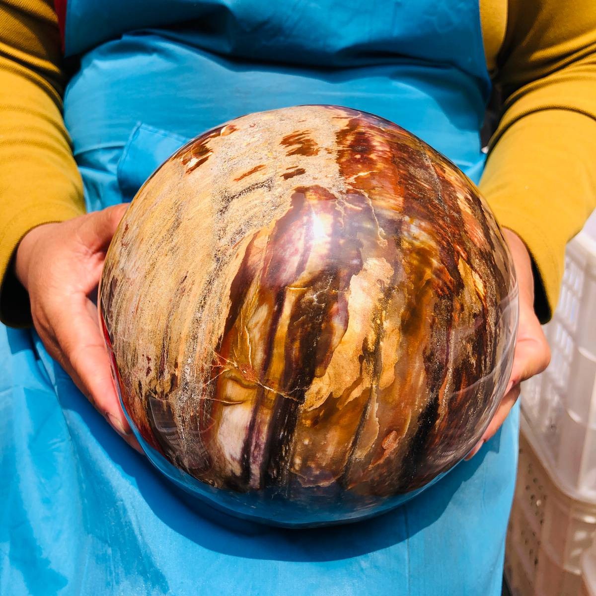 16.1LB Rare Natural Petrified Wood Ball Crystal Quartz Mineral Healing 4708