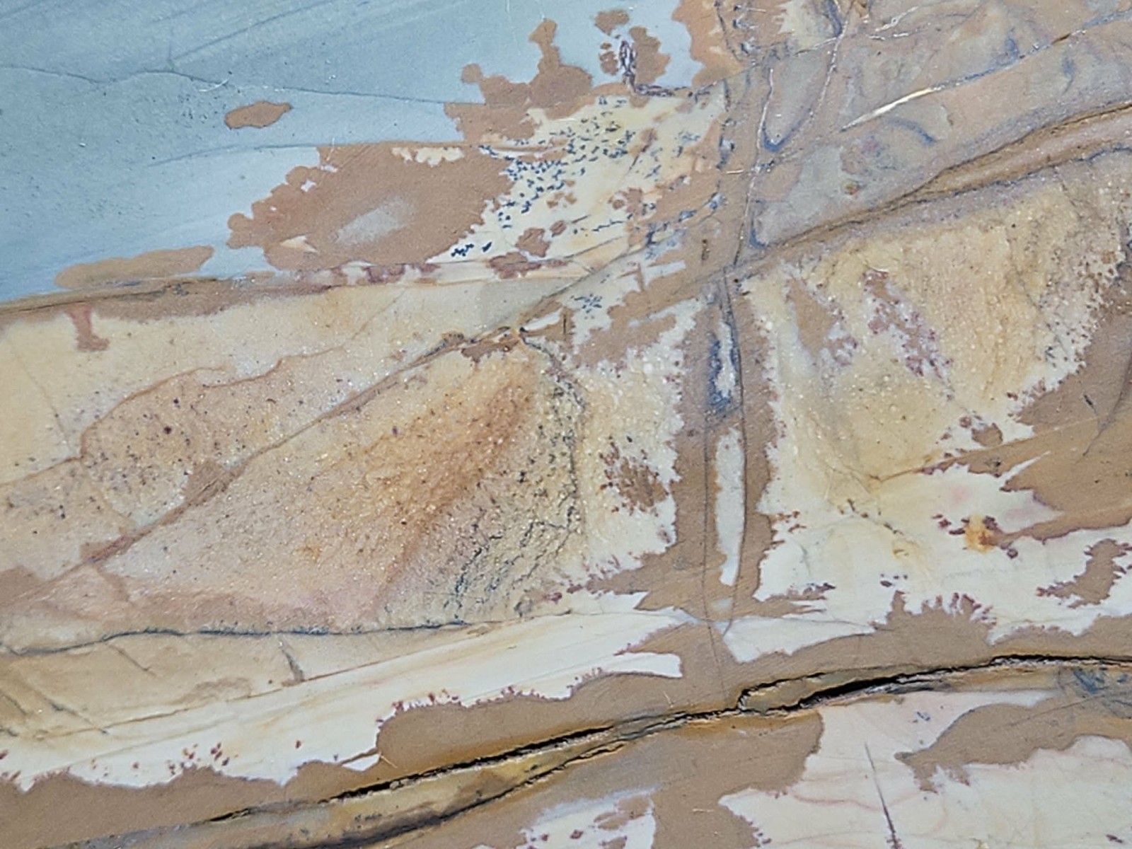 Oregon Picture Jasper Specimen (3lbs 4oz) Measures 8 in x 4 in x 3 in