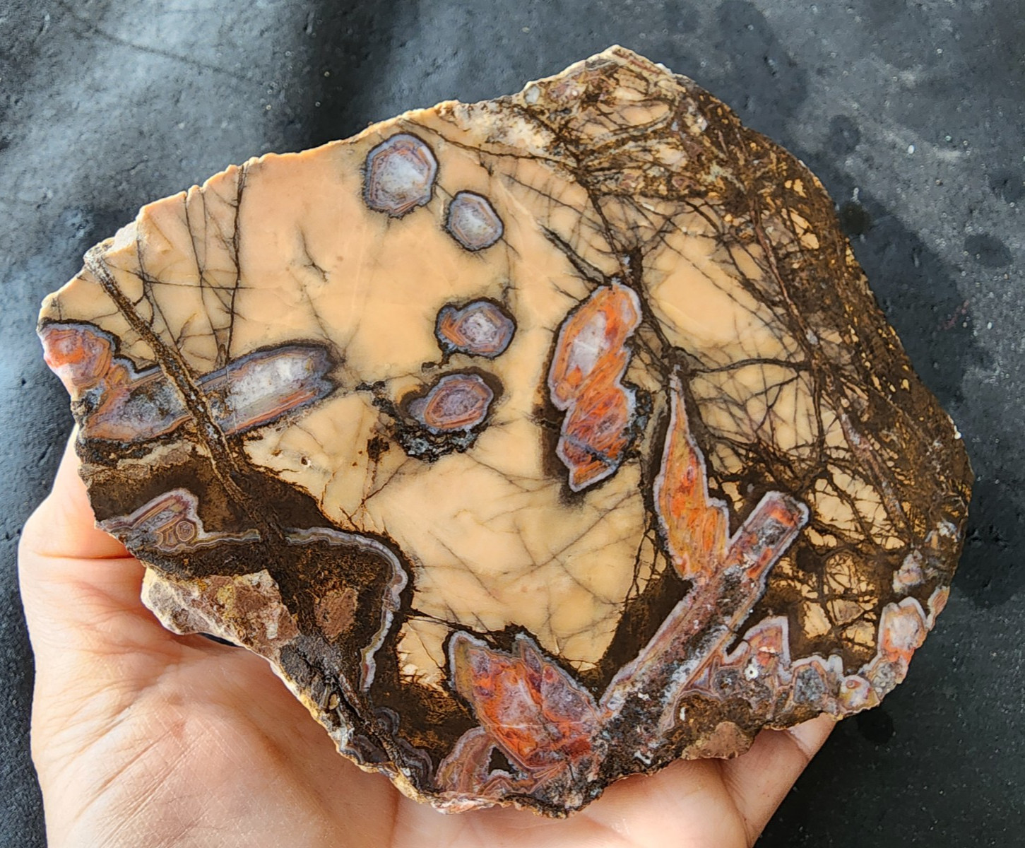 3.3 lbs (1.5 kg) Unpolished Agate, Almus Agate, Large Agate Pair, アゲートのペア, العقي