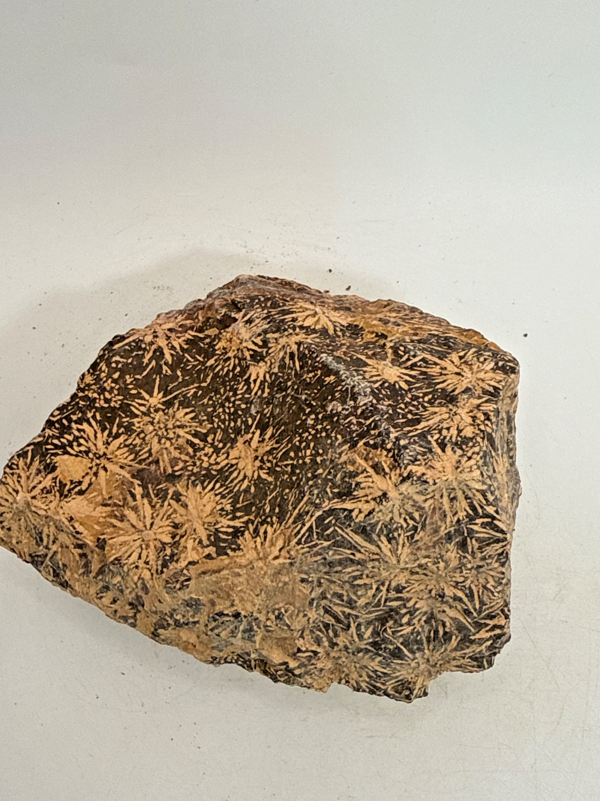 Beautiful Spider Jasper Chrysanthemum Specimen 430 Grams