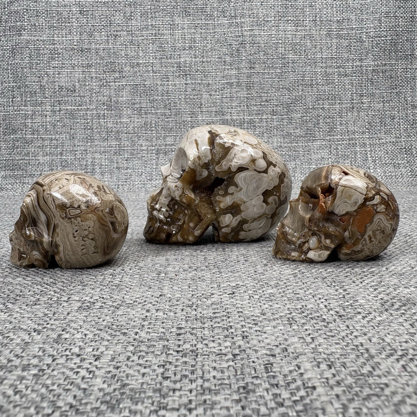 Amber Agate Crystal Skull Set 3pc Druzy Hand Carved Polished Stone Brown