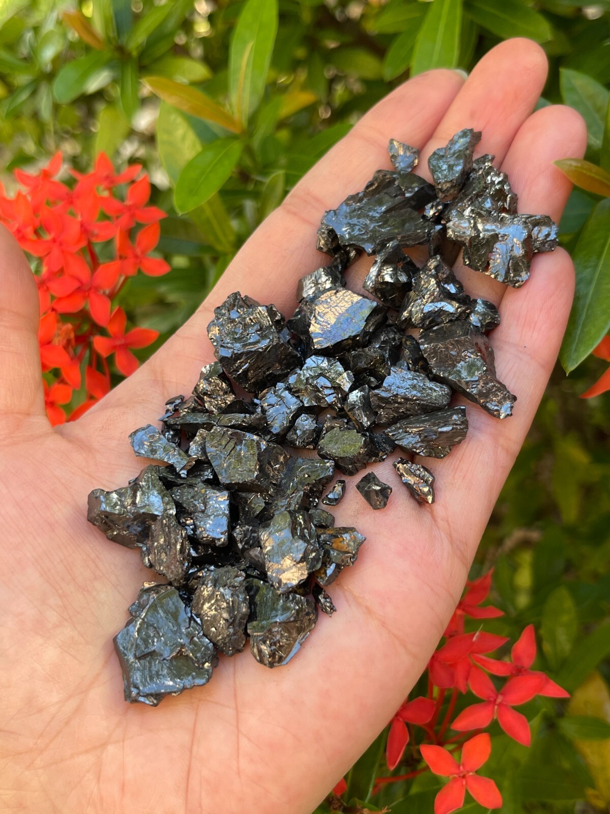 Grade A++ Small Elite Noble Shungite Stone, 0.2-1″ Raw Shungite, Bulk Lot