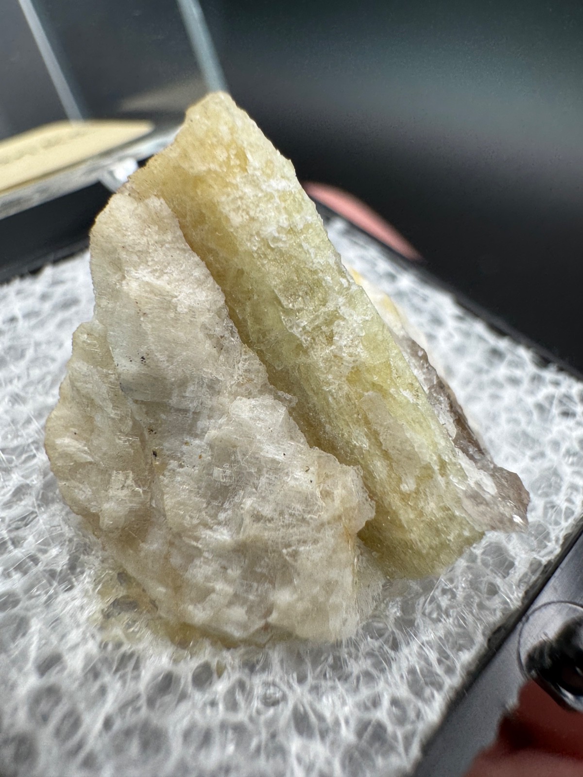 6778 Raw Beryl Specimen in Perky Box Sri Lanka
