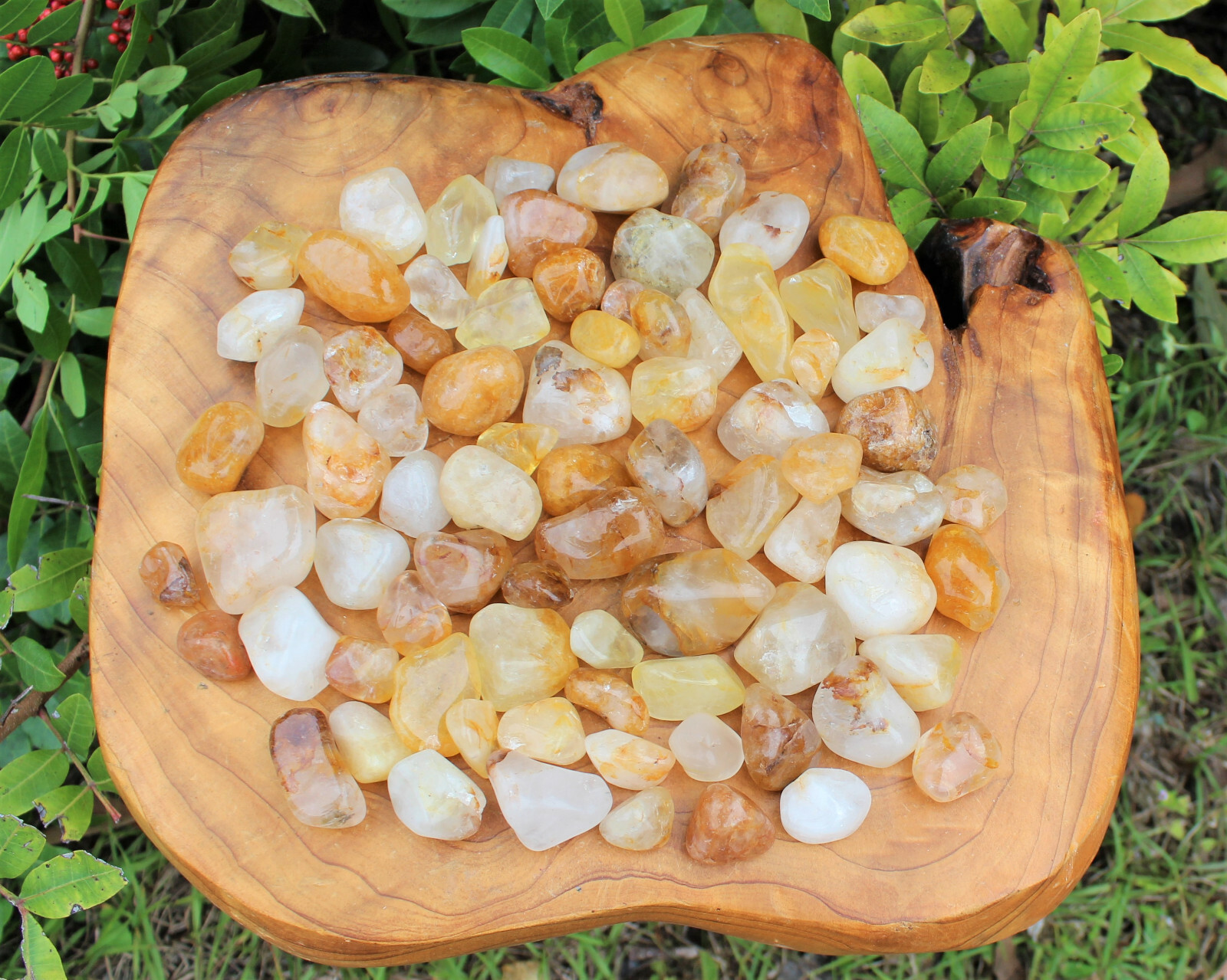 1/4 lb Bulk Lot Golden Healer Quartz Tumbled Stones (Yellow Quartz Crystals)
