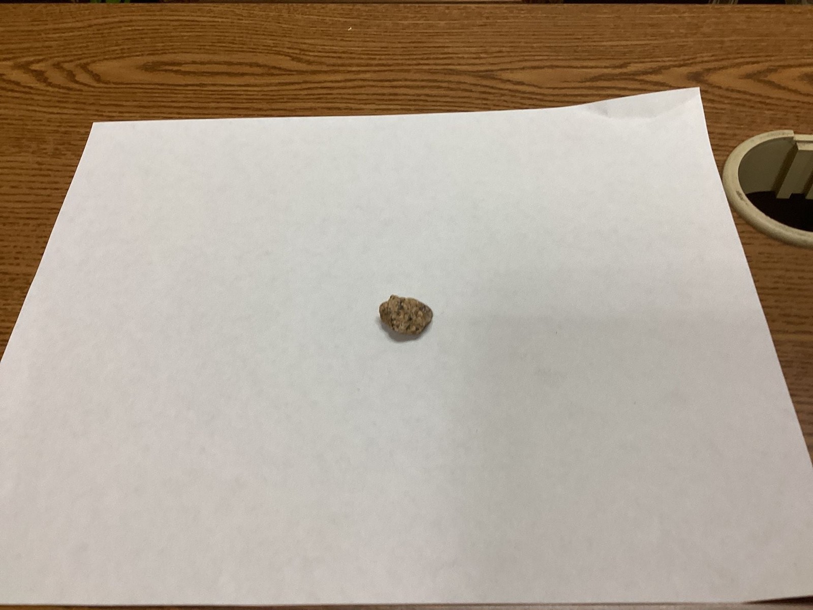 Unbranded Natural Earth-Tone Raw Rock Mineral Specimen