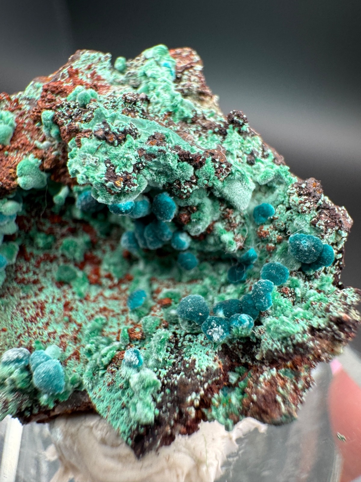 6757 Rosasite and Malachite on Matrix in Perky 8g Ojuela Mine, MX