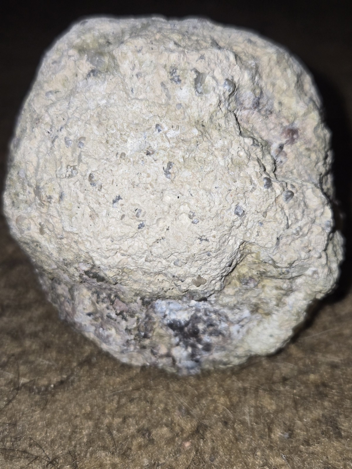 Agate Geode Nodule Cut Cross-Section Specimen w/ Druzy Quartz Center