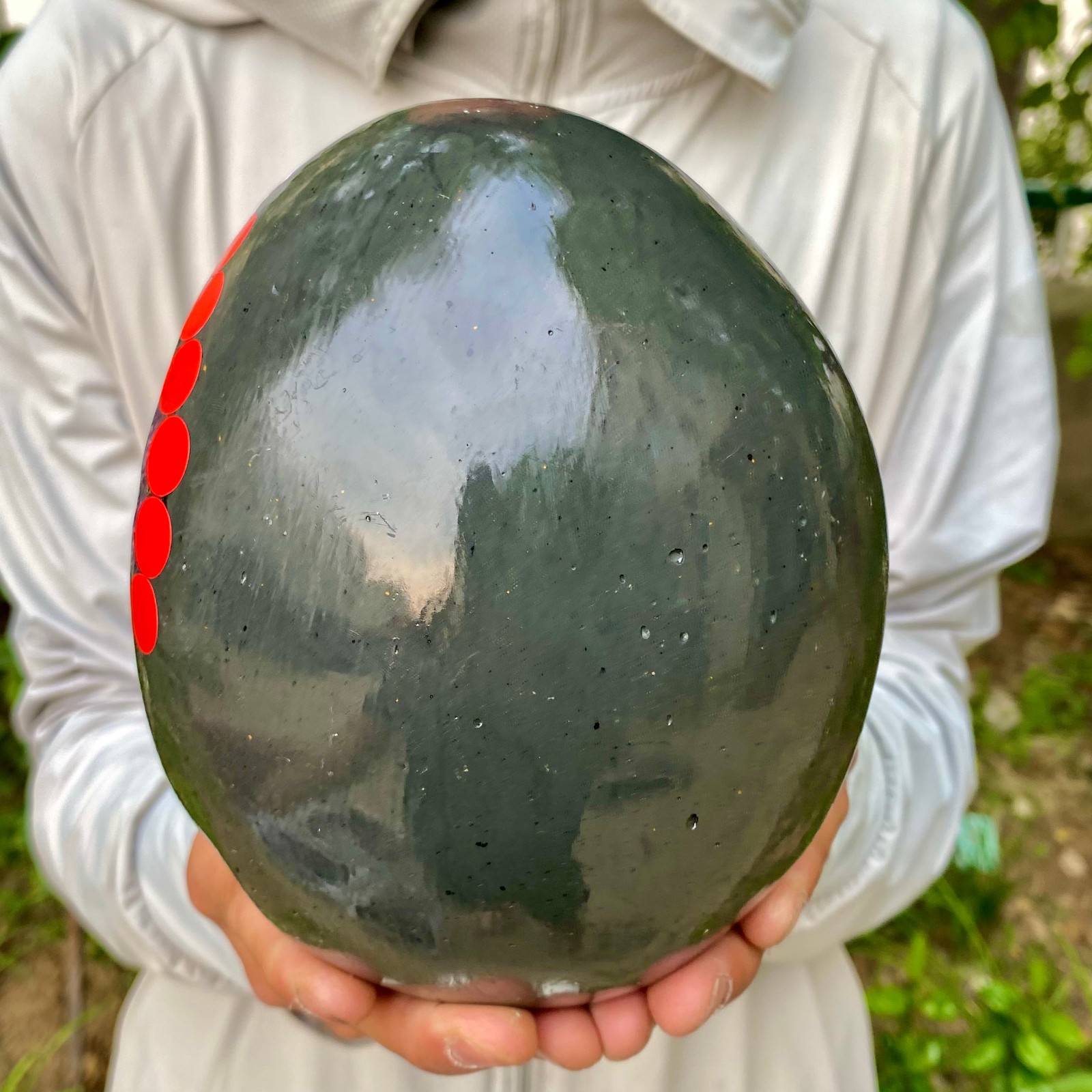 5.95LB Natural amethyst Dinosaur egg Quartz Crystal specimen healing