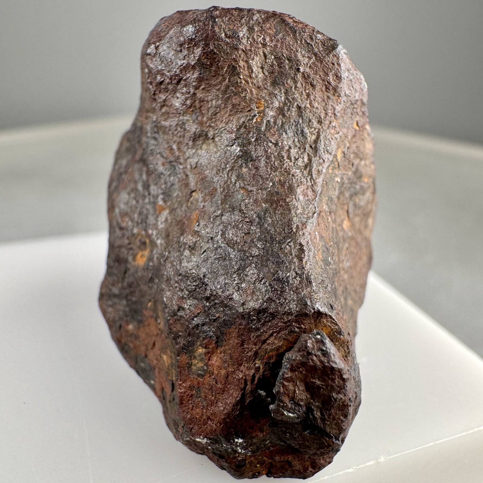 Iron Meteorite: Mundrabilla meteorite, Mundrabilla Roadhouse, Australia