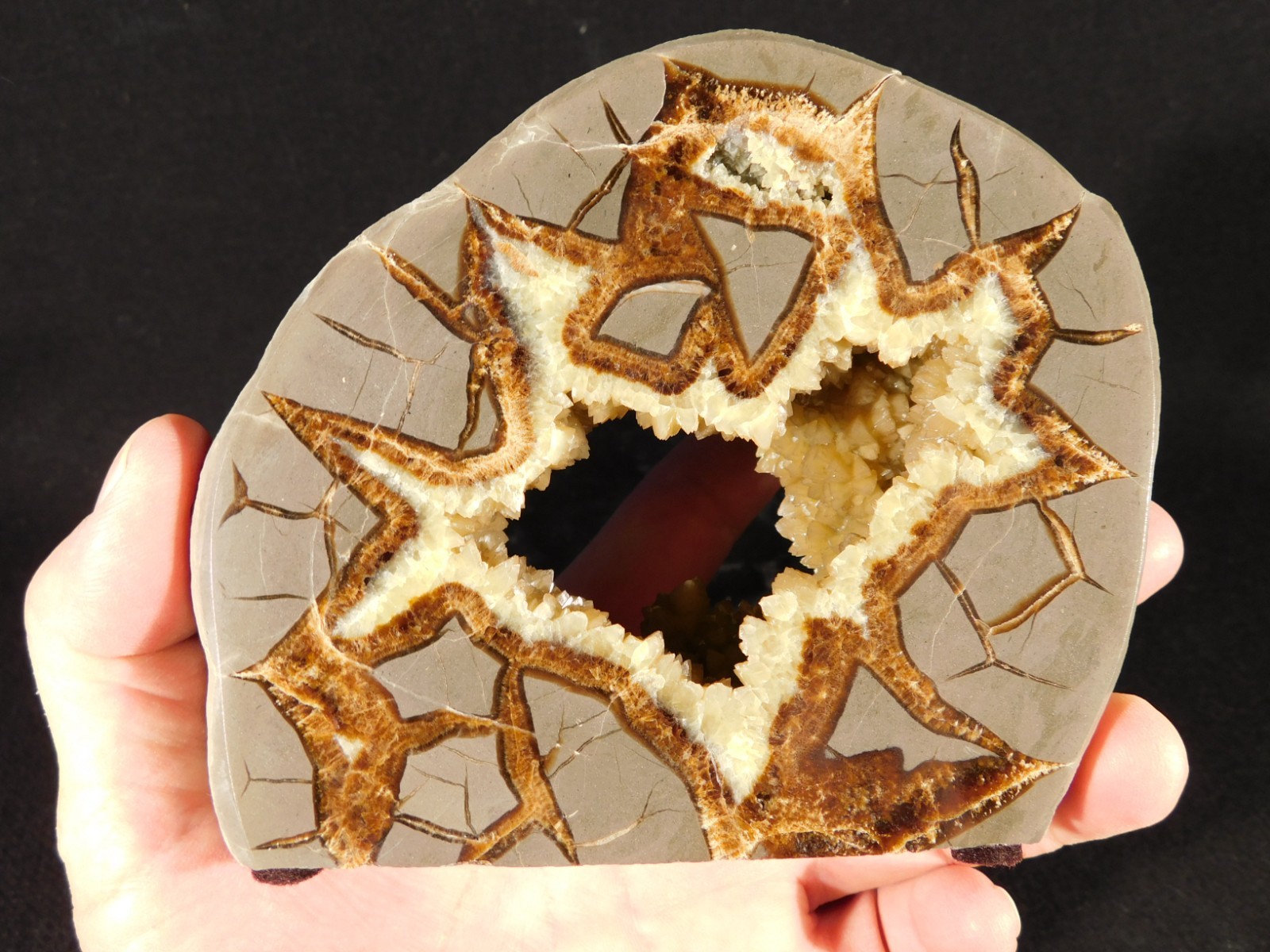 Big! Polished AAA Crystal Filled Hollow Septarian GEODE FREE Standing Utah 780gr