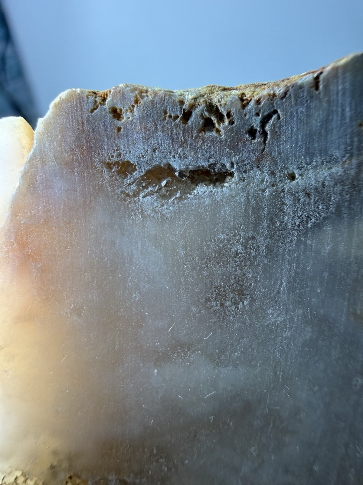 Natural Quartz Crystal Mineral Geode Pieces Annville, Kentucky 236grams