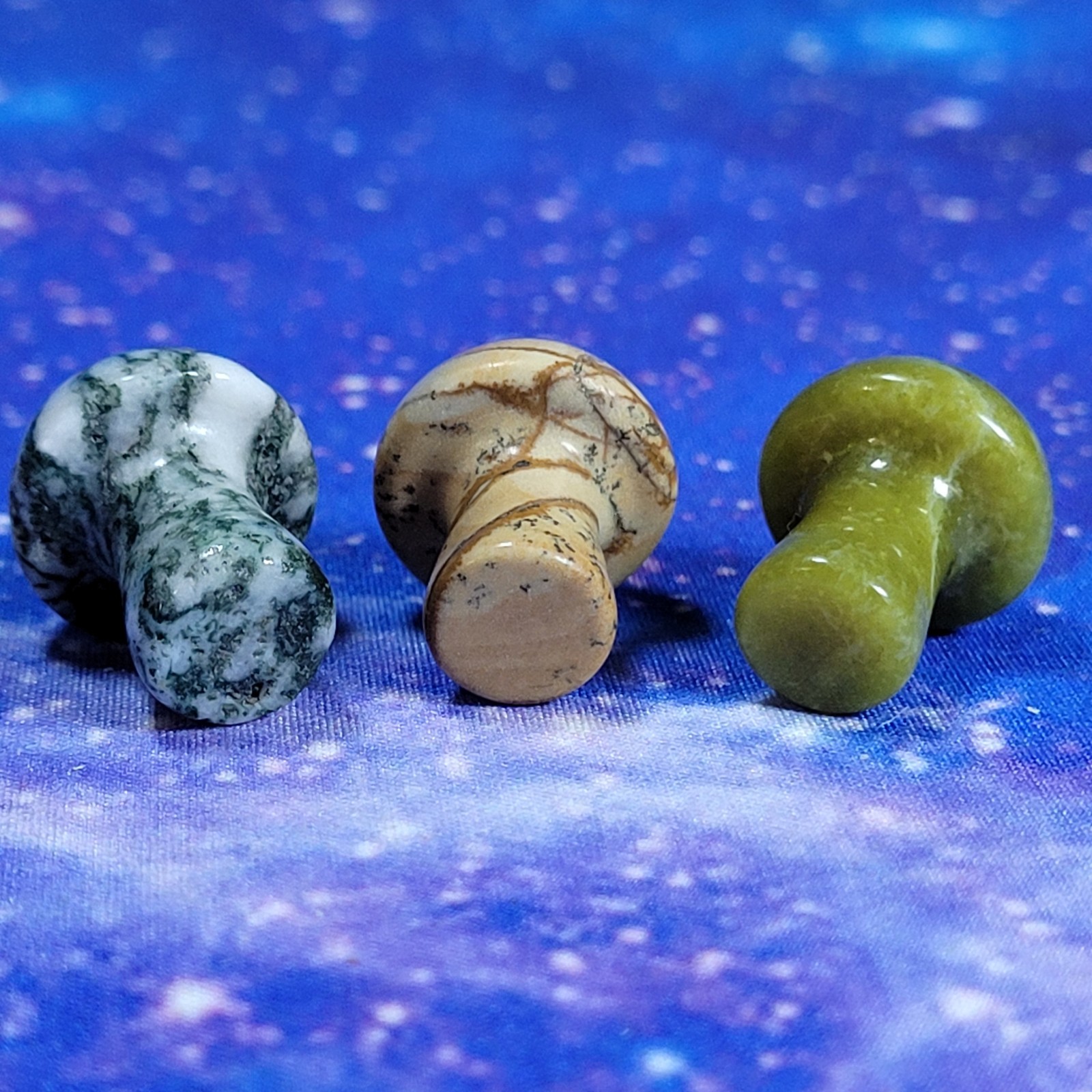 3 Magic Mushroom Carvings: Moss Agate/Picture Jasper/Serpentine 20mm w/Display