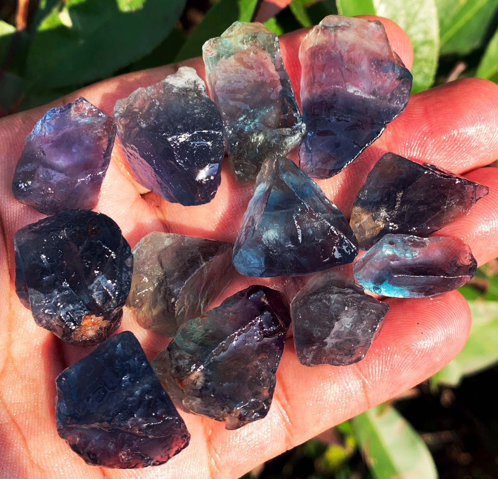87g 12PC TOP! Natural Fantastic Blue Fluorite Crystal Specimen ic012