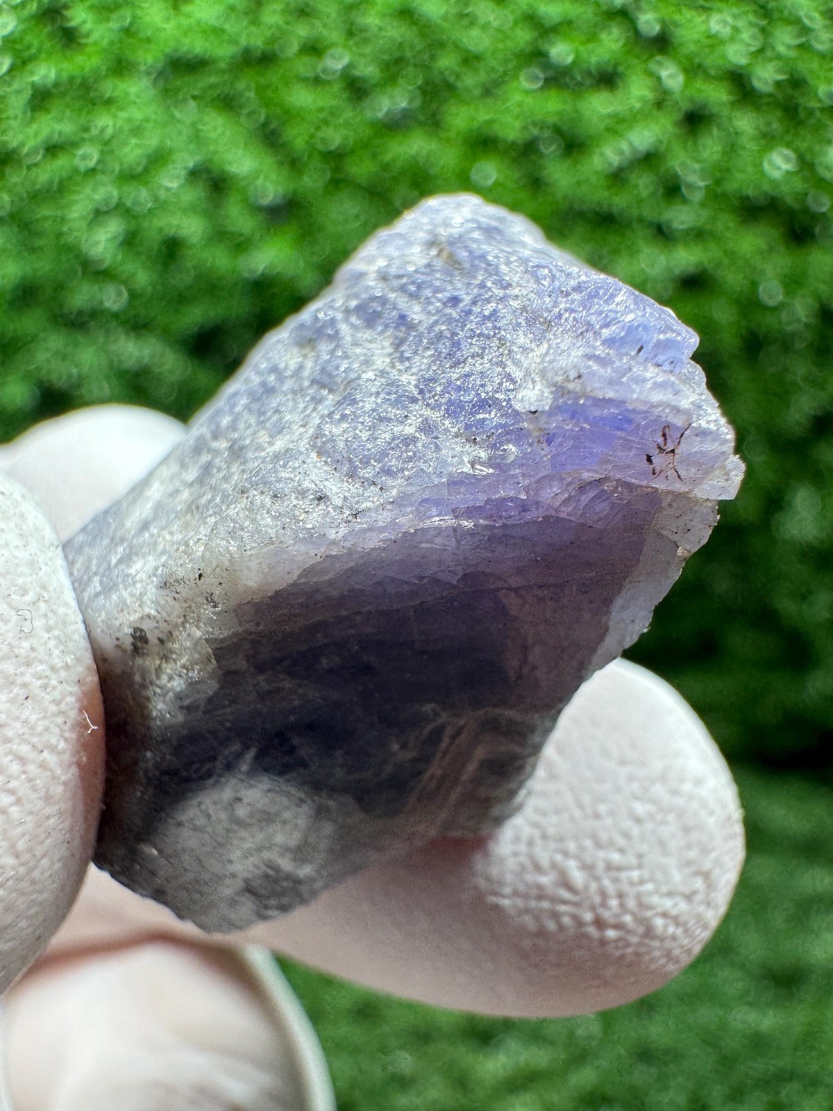 Amazing TANZANITE Crystal with COLOR CHANGE under yellow/white light / F226