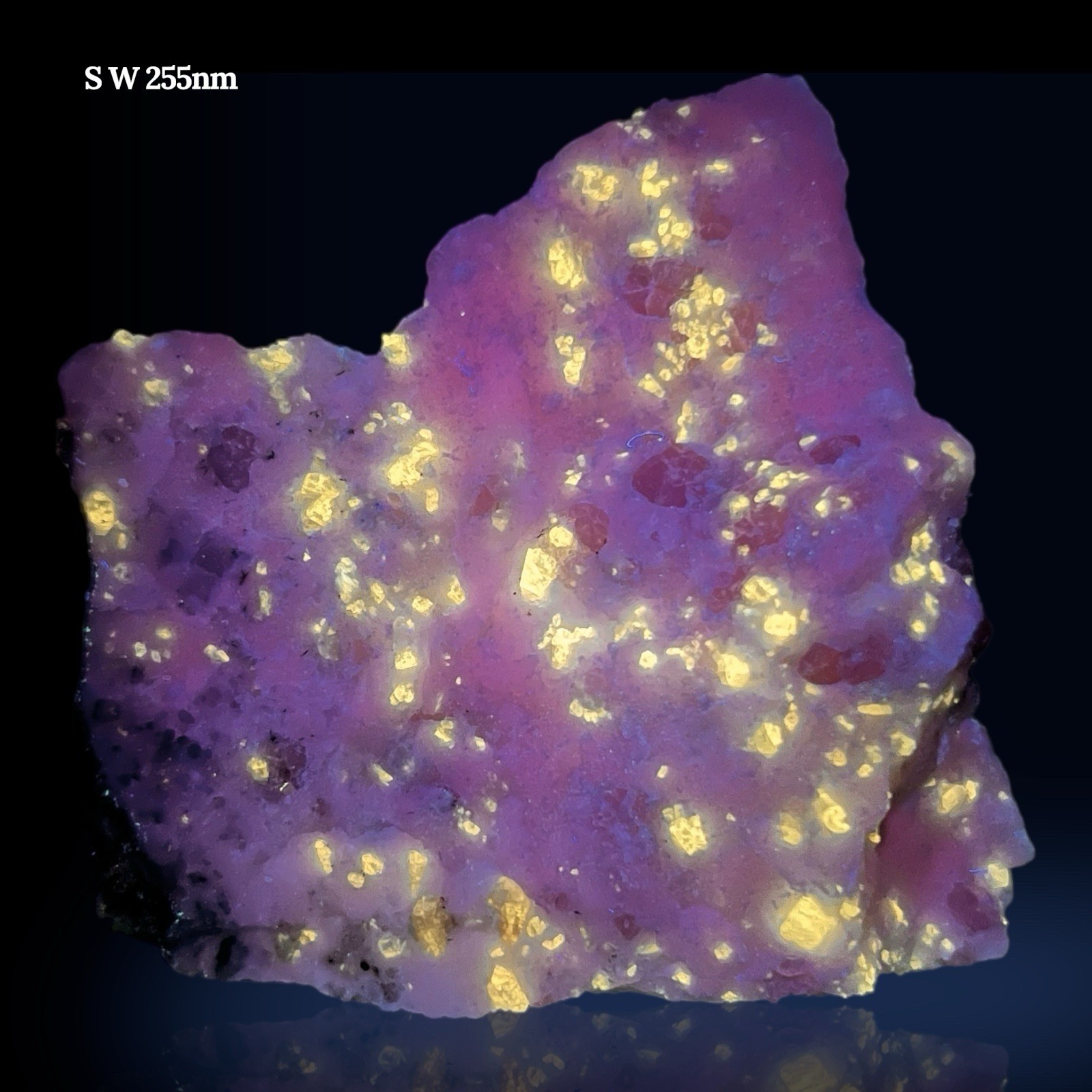 212 GM Red Spinel Crystals with Marialite, Scapolite, Fluorapatite on Calcite